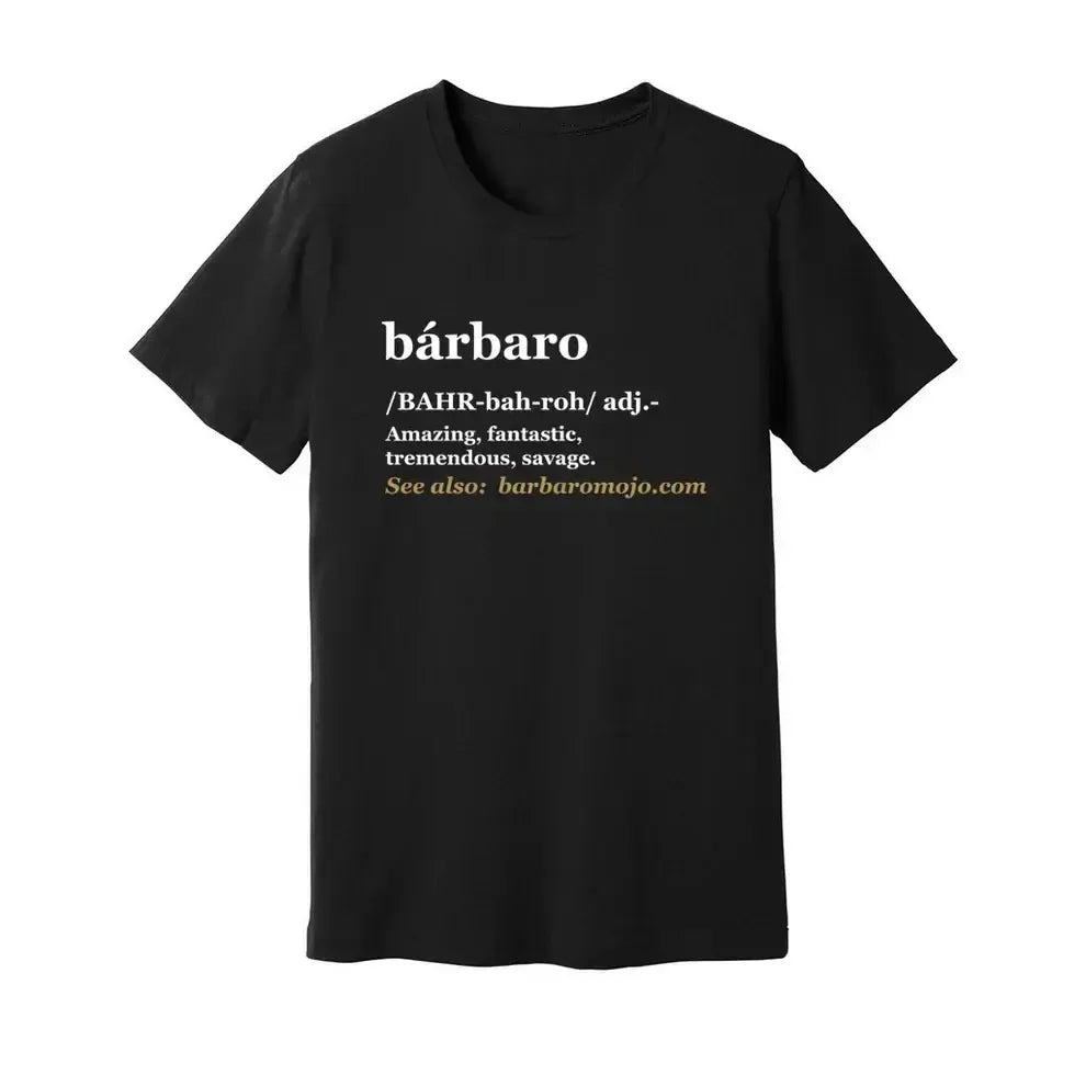 The Meaning of Barbaro: Unpacking Its Significance and Origins - barbaromojo.live